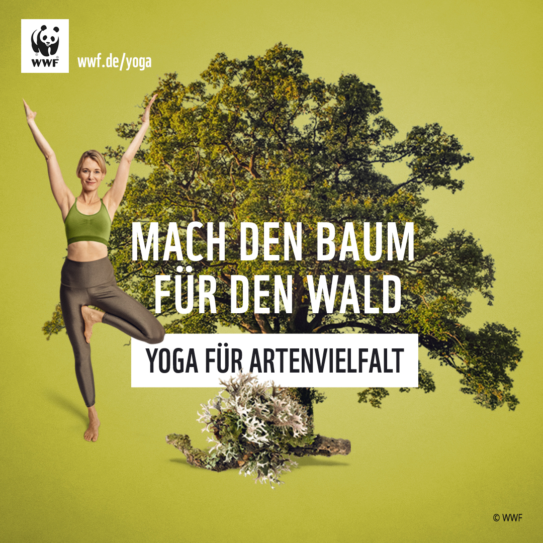 WWF-YogaFuerArtenvielfalt-1080x1080-Baum-Annika-Isterling-c-wwf