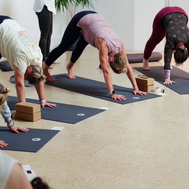 Asana_hund_yogakurs_anusara
