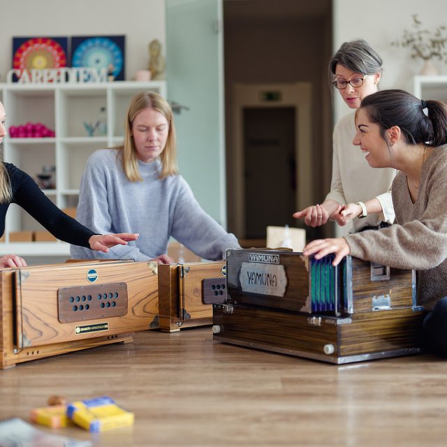 harmoniumworkshop_harmonium_kalayoga_satya